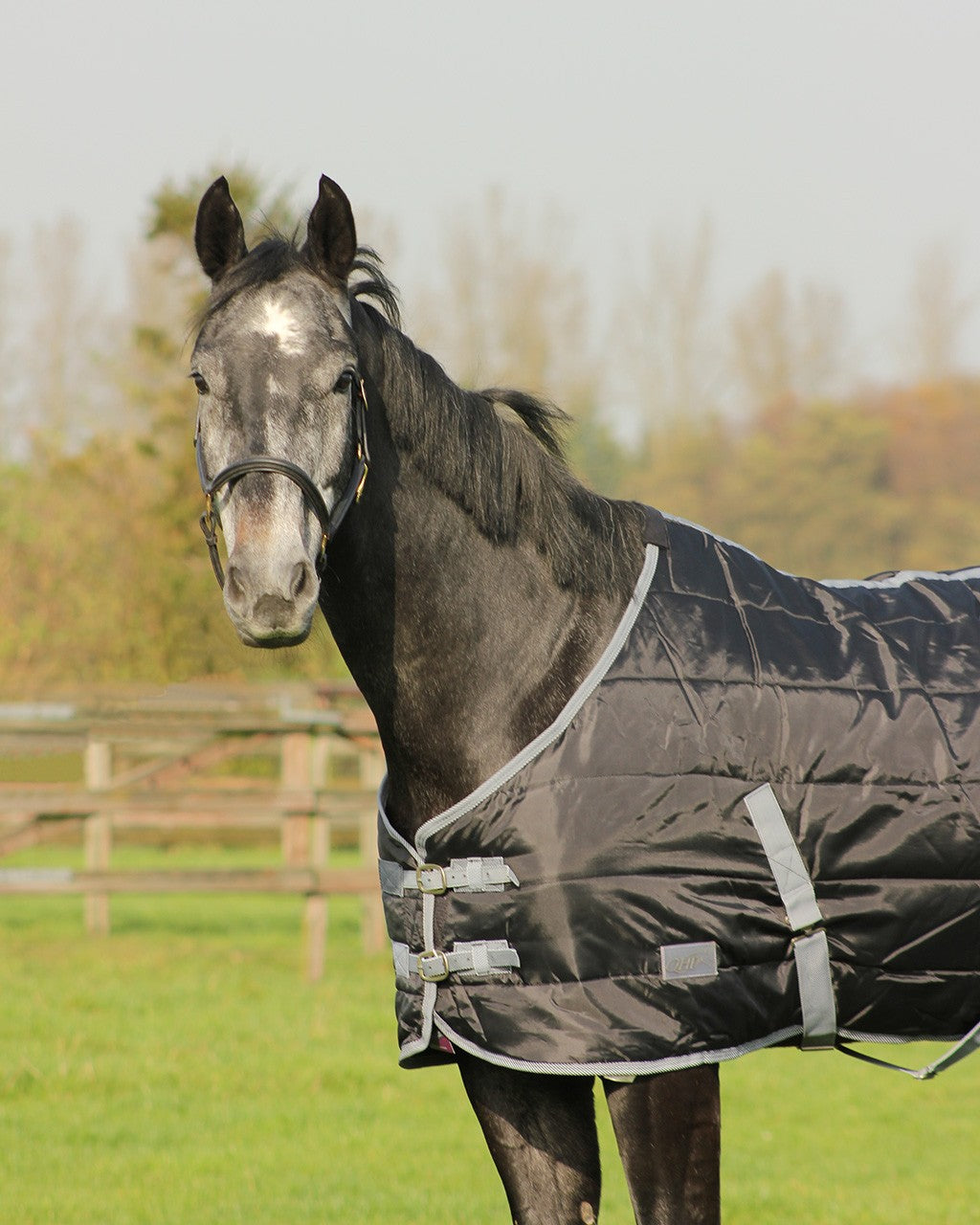 Couverture d'écurie noire 300 grammes pour chevaux