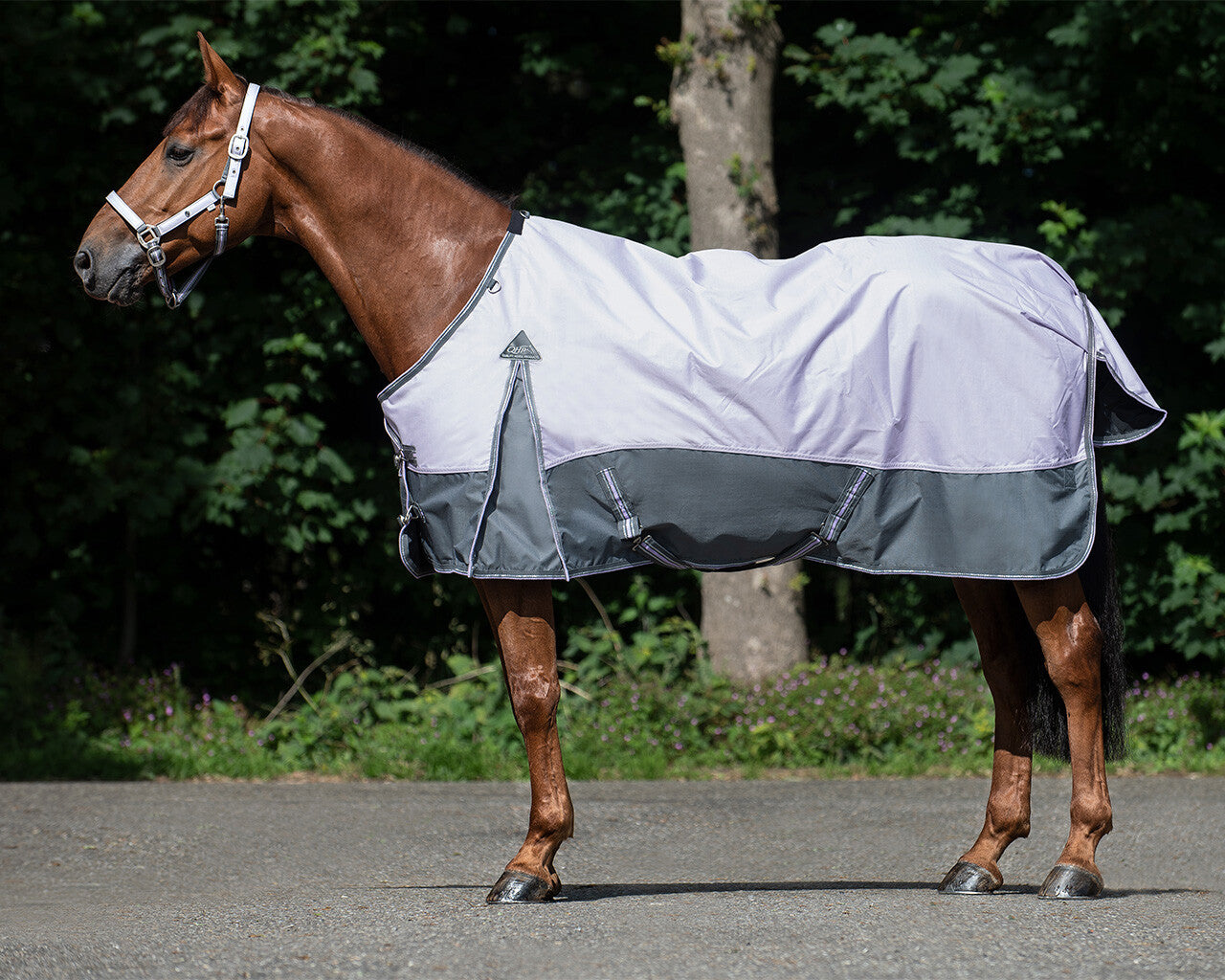 Couverture imperméable de luxe pour extérieur 0 gramme Lavande