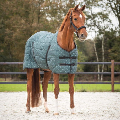 Staldeken start 200gram Esmerald