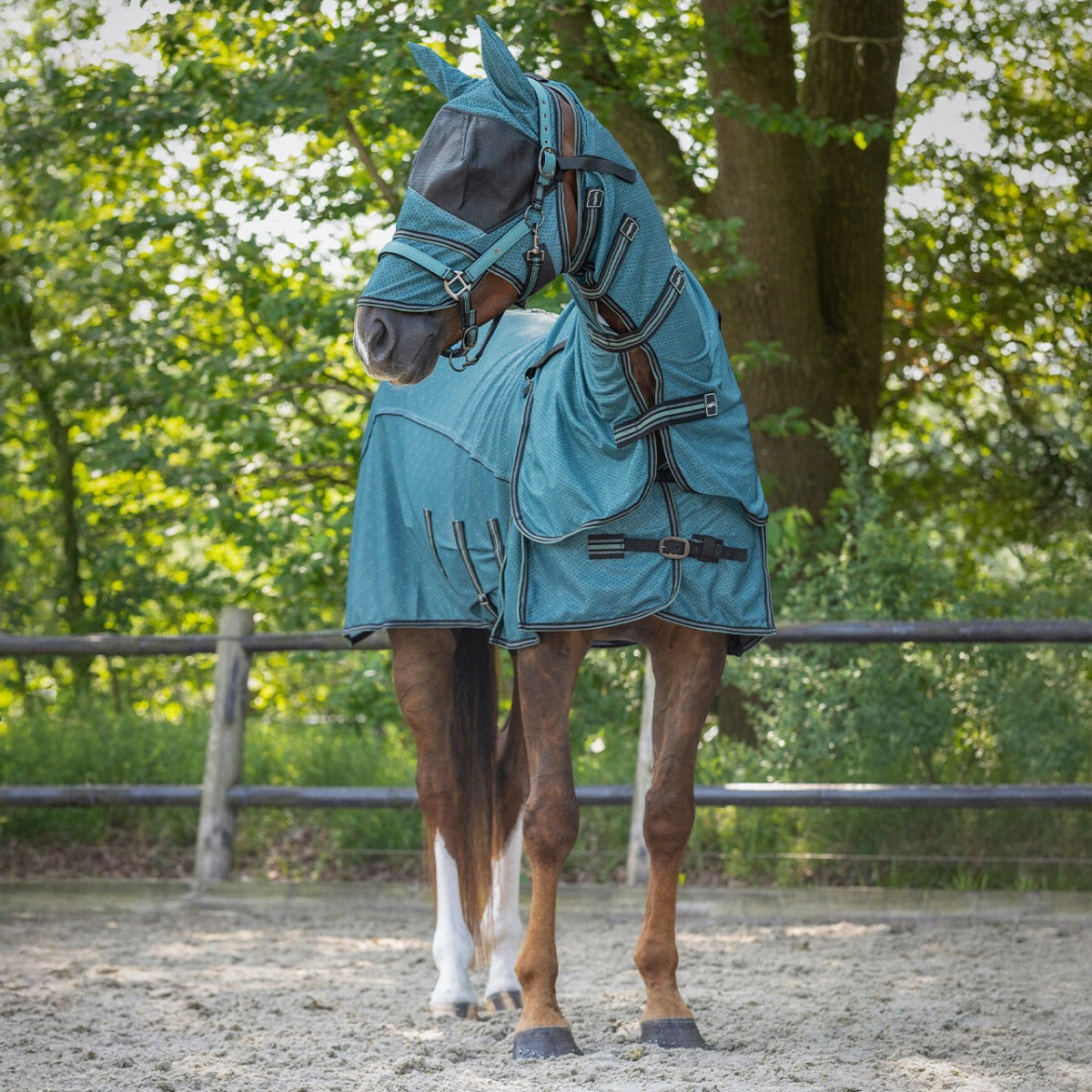 Fleandekken hals en hoed Ocean Breeze