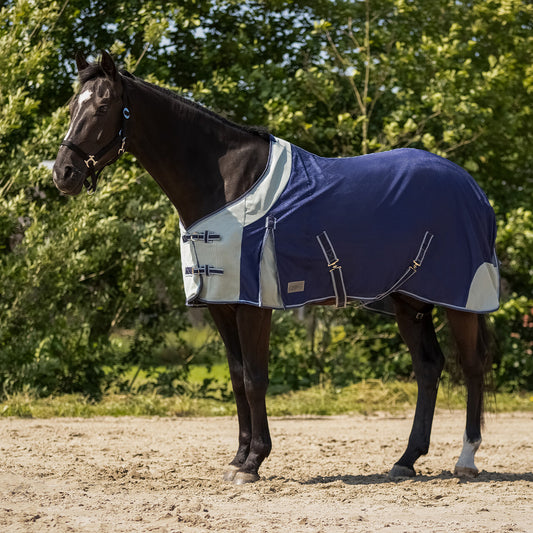 Vliegendeken blauw