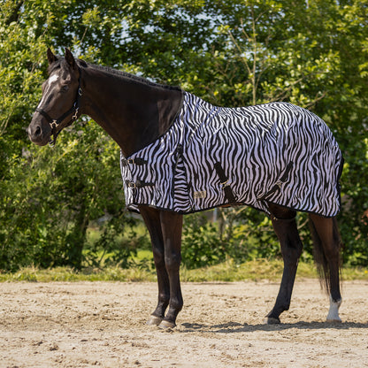Vliegendeken Zebra
