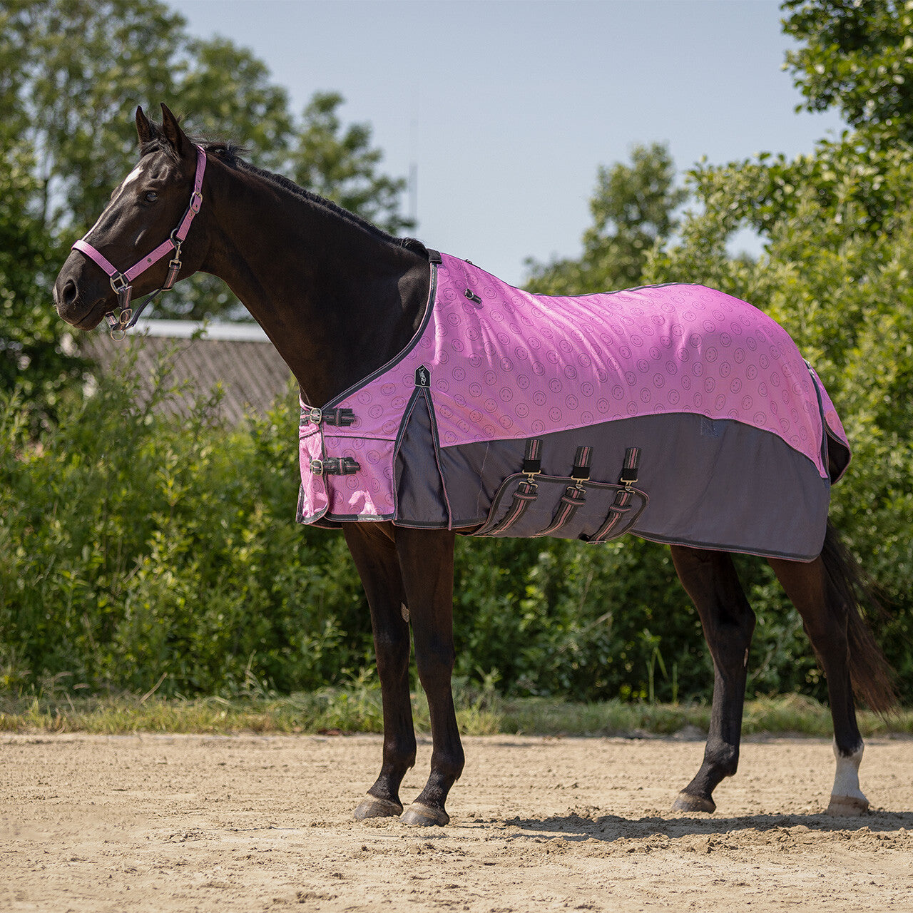 Vliegendeken collection nek+hoed Cheery pink