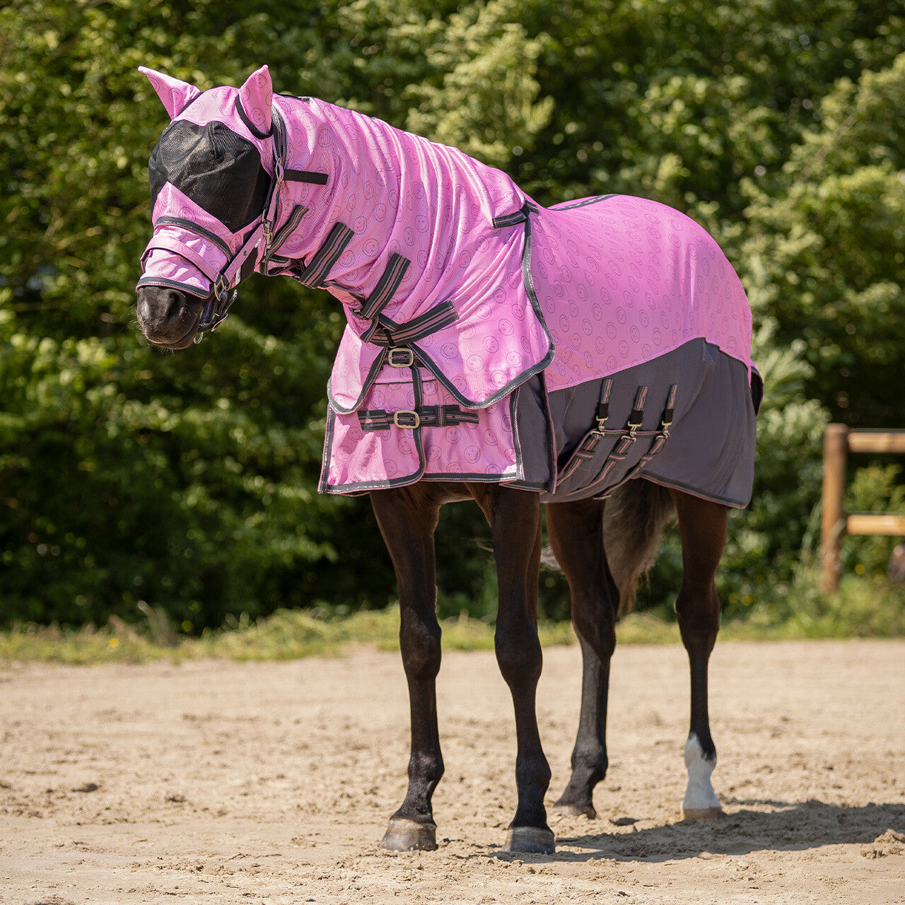 Vliegendeken collection nek+hoed Cheery pink