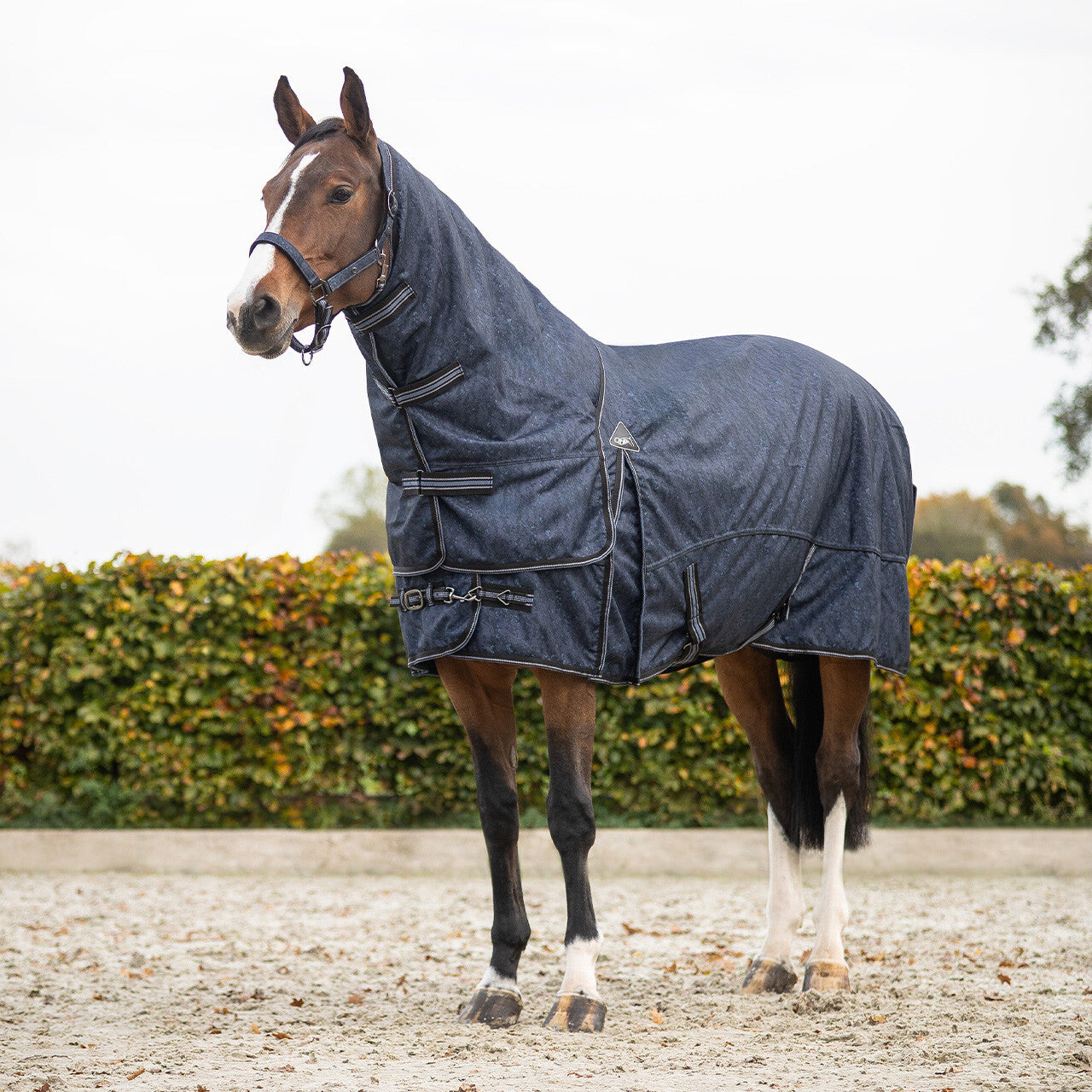 Regendeken 1200D turnout collection 150gr afneembare hals Cloud Dancer