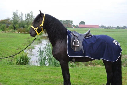 Uitrijdeken fleece zwart/zilver met ornament
