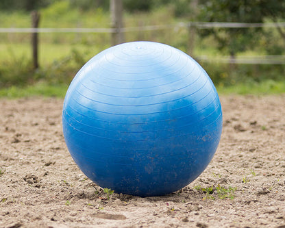 Paardenvoetbal blauw of roze