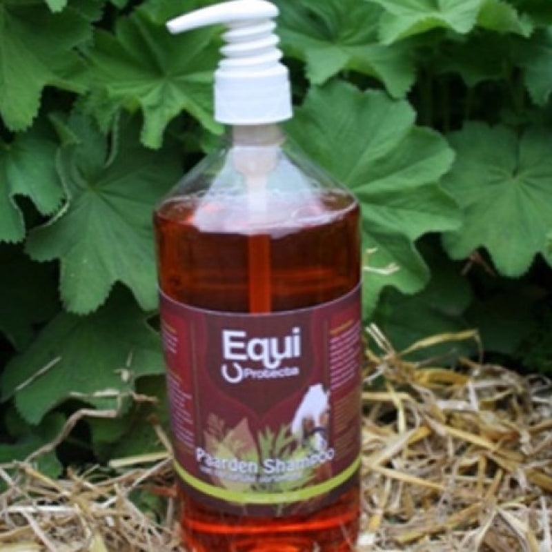Shampoo biologisch 