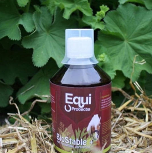 Bio Stable voor een gezond stalklimaat 