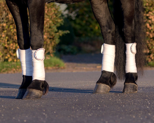 Ferbandpleisters Q Friesian