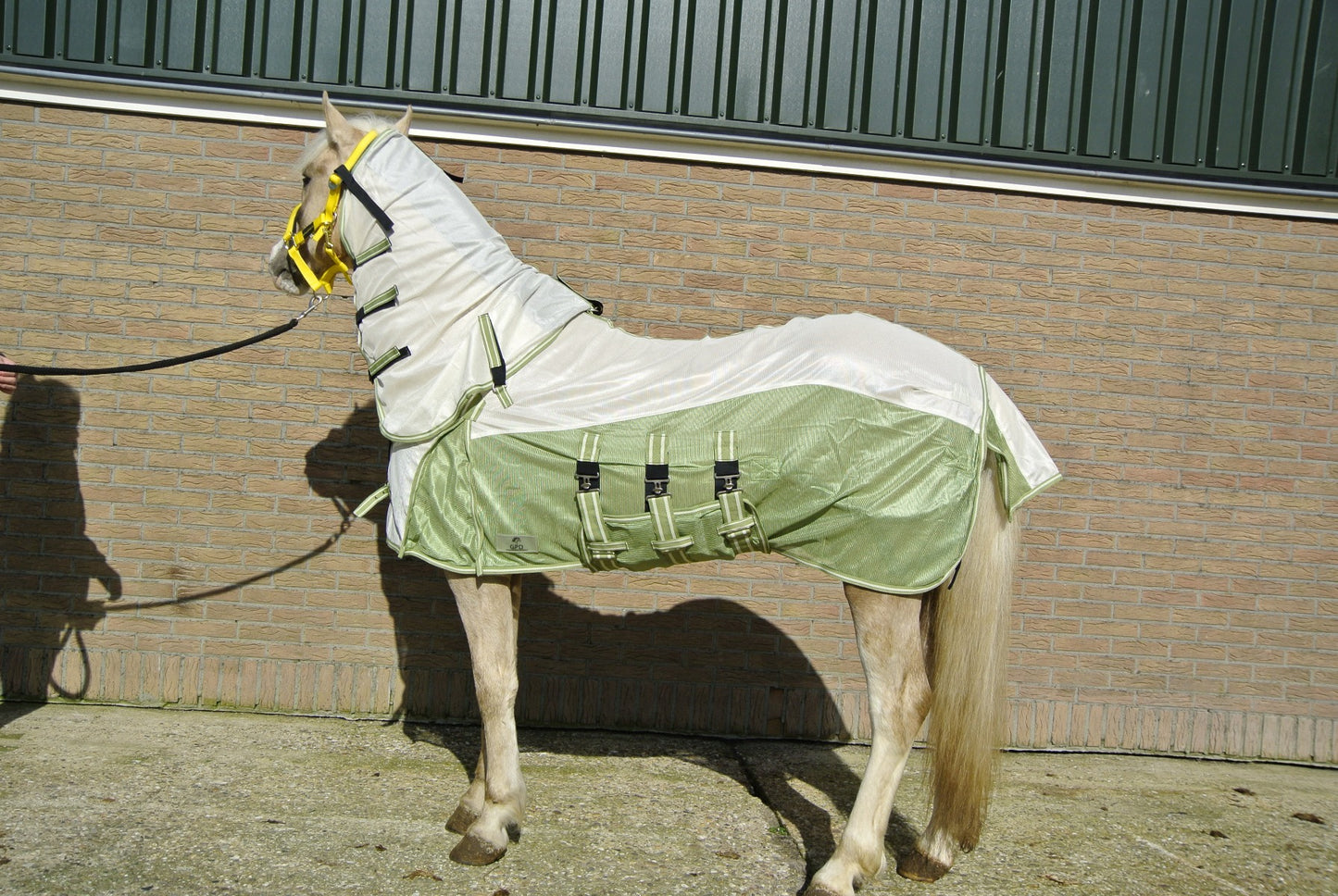 Couverture anti-mouches avec rabat amovible pour le cou et le ventre, comprenant un masque neuf avec une protection nasale, vert/blanc crème