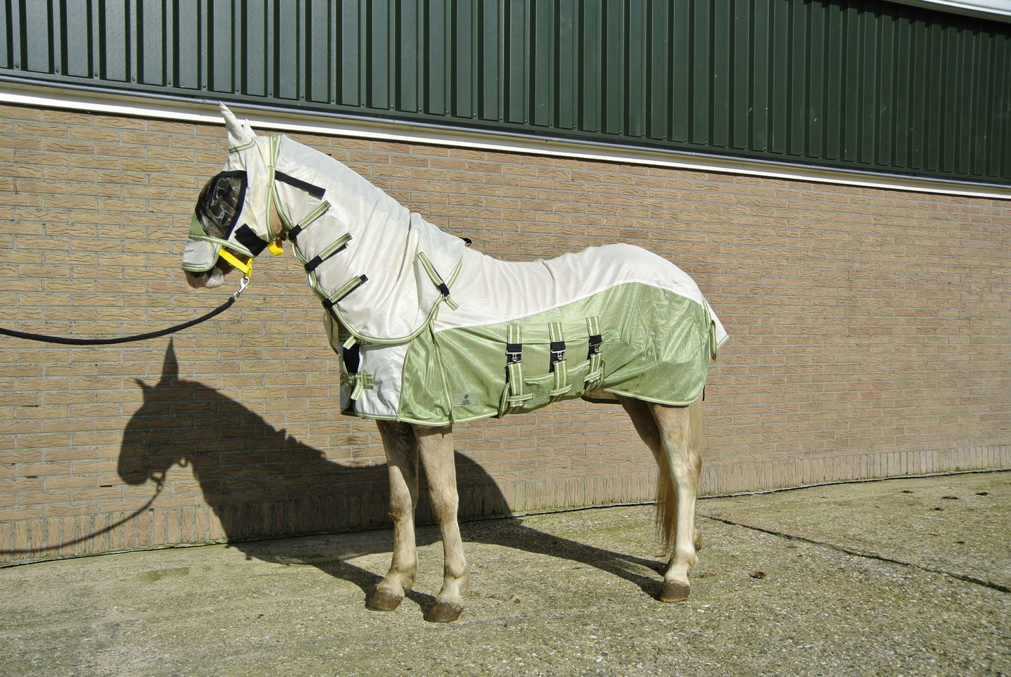 Couverture anti-mouches avec rabat amovible pour le cou et le ventre, comprenant un masque neuf avec une protection nasale, vert/blanc crème