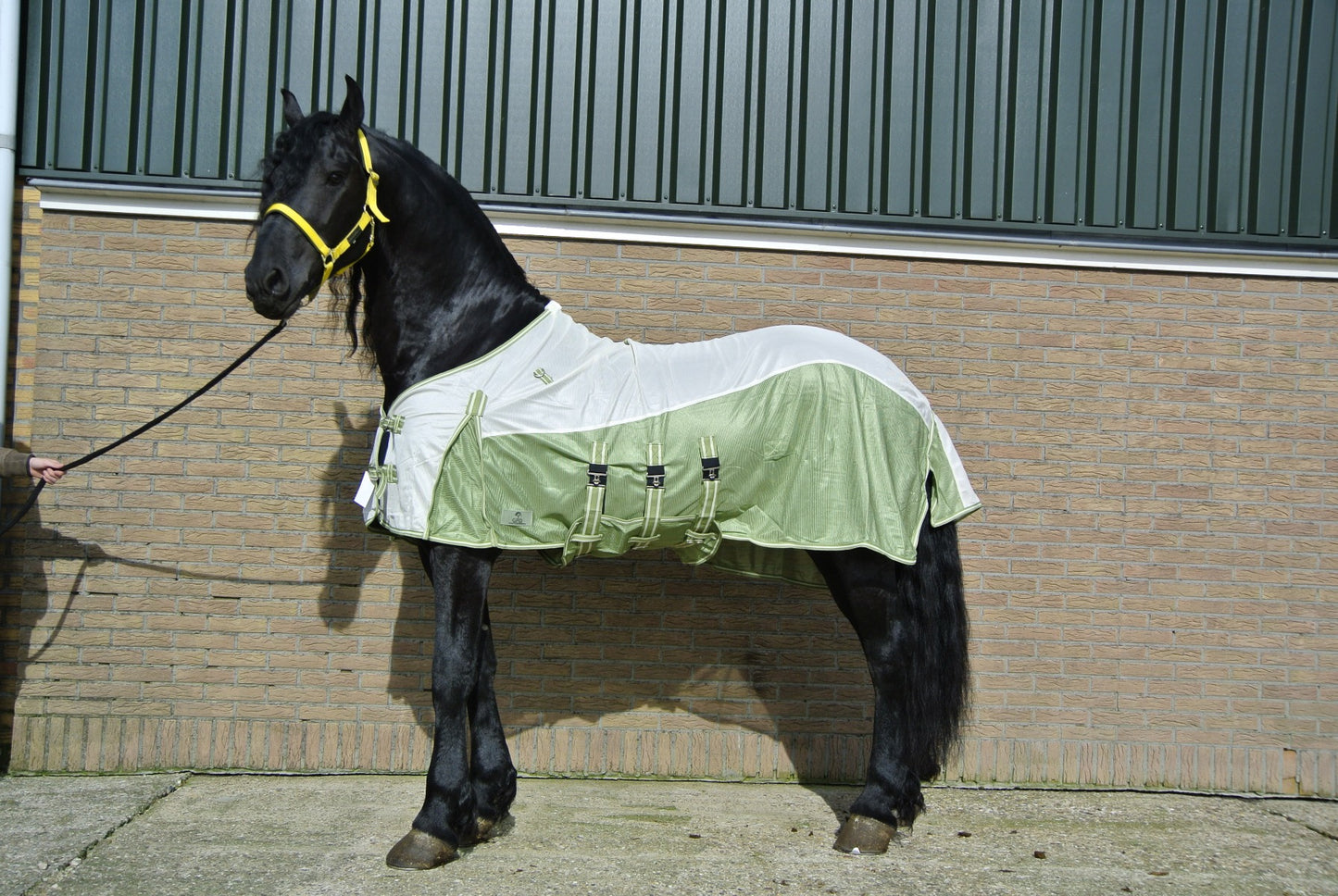 Couverture anti-mouches avec rabat amovible pour le cou et le ventre, comprenant un masque neuf avec une protection nasale, vert/blanc crème