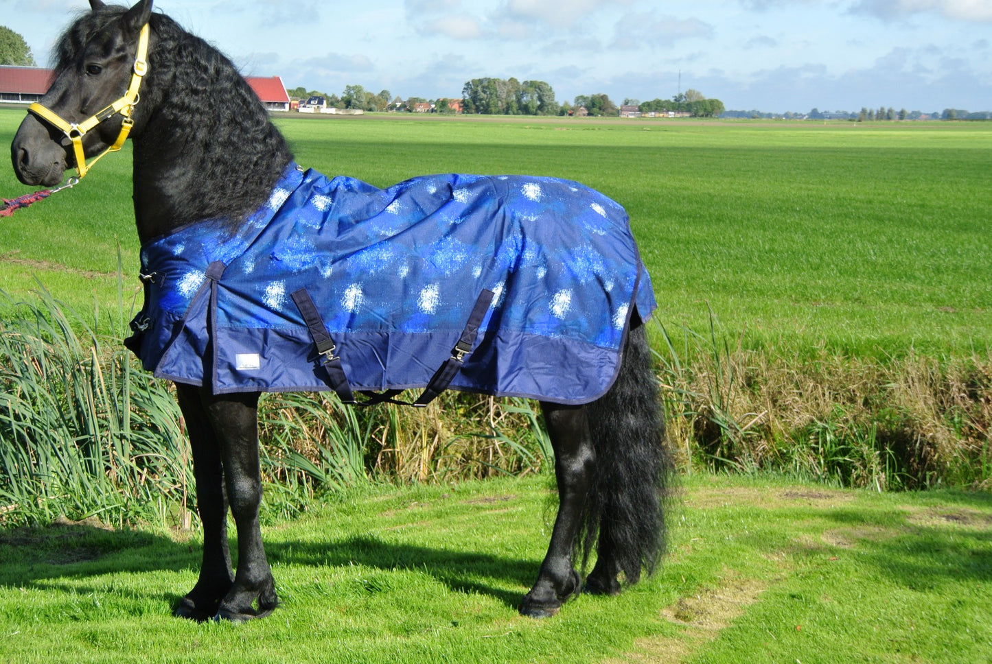 Luksueuze reindeken 200 gram Cosmos hynstedeken 