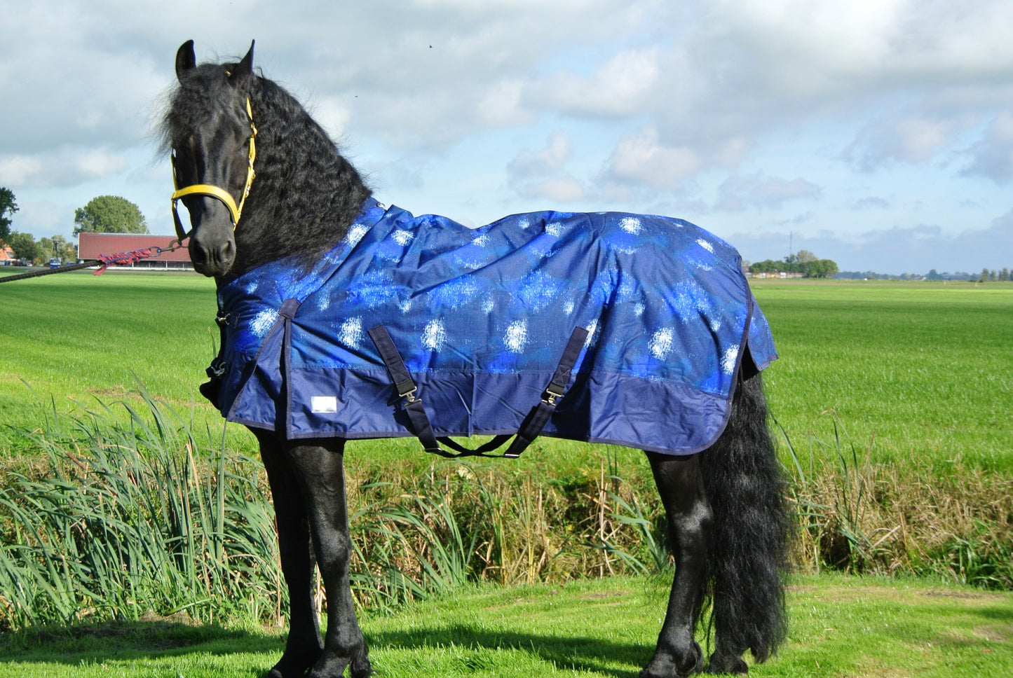 Regendeken luxe 450 gram Cosmos