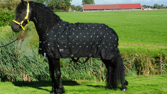 Regendeken luxe 450 gram ster