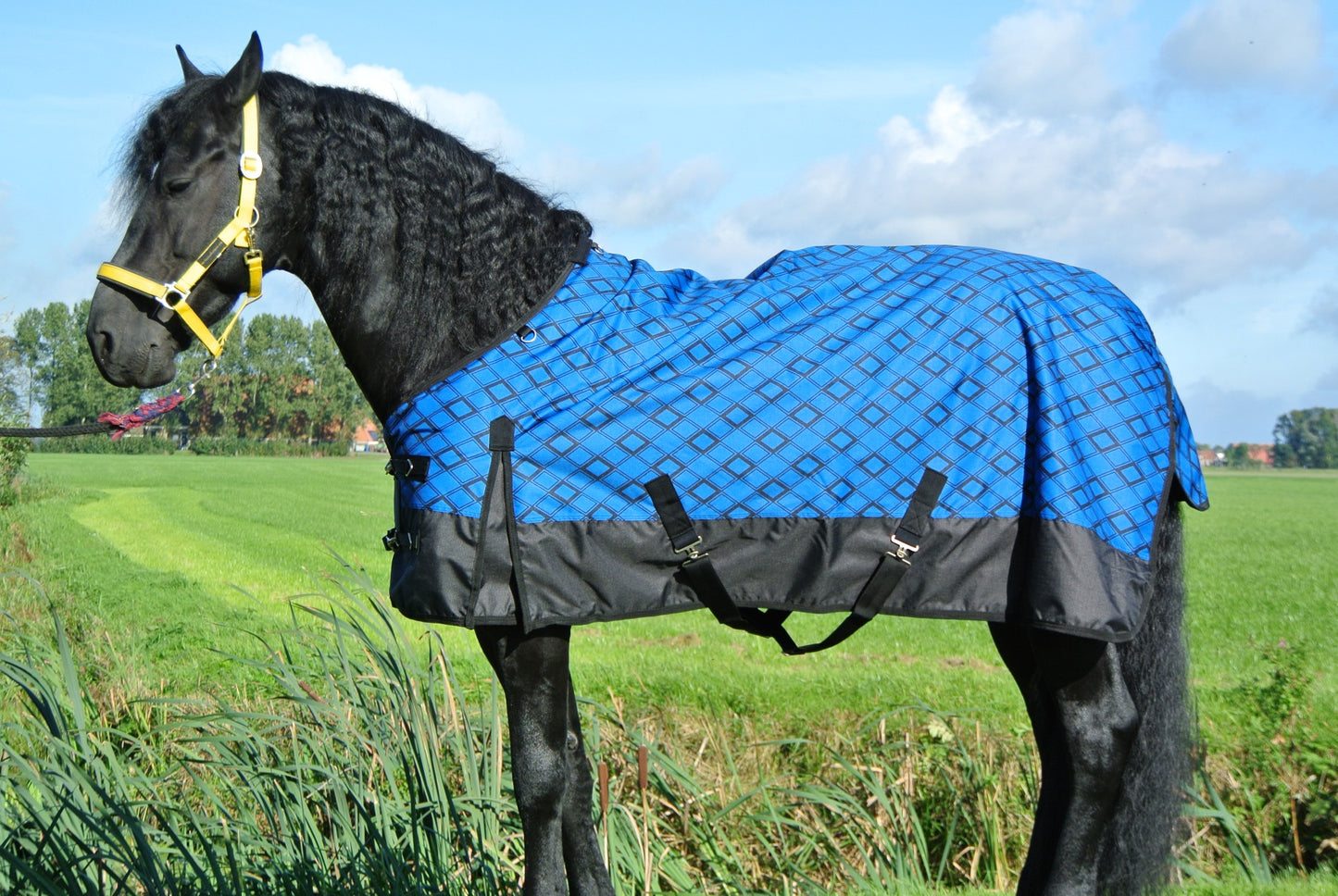 Couverture d'extérieur imperméable de luxe 100 g, motif à carreaux bleu cobalt