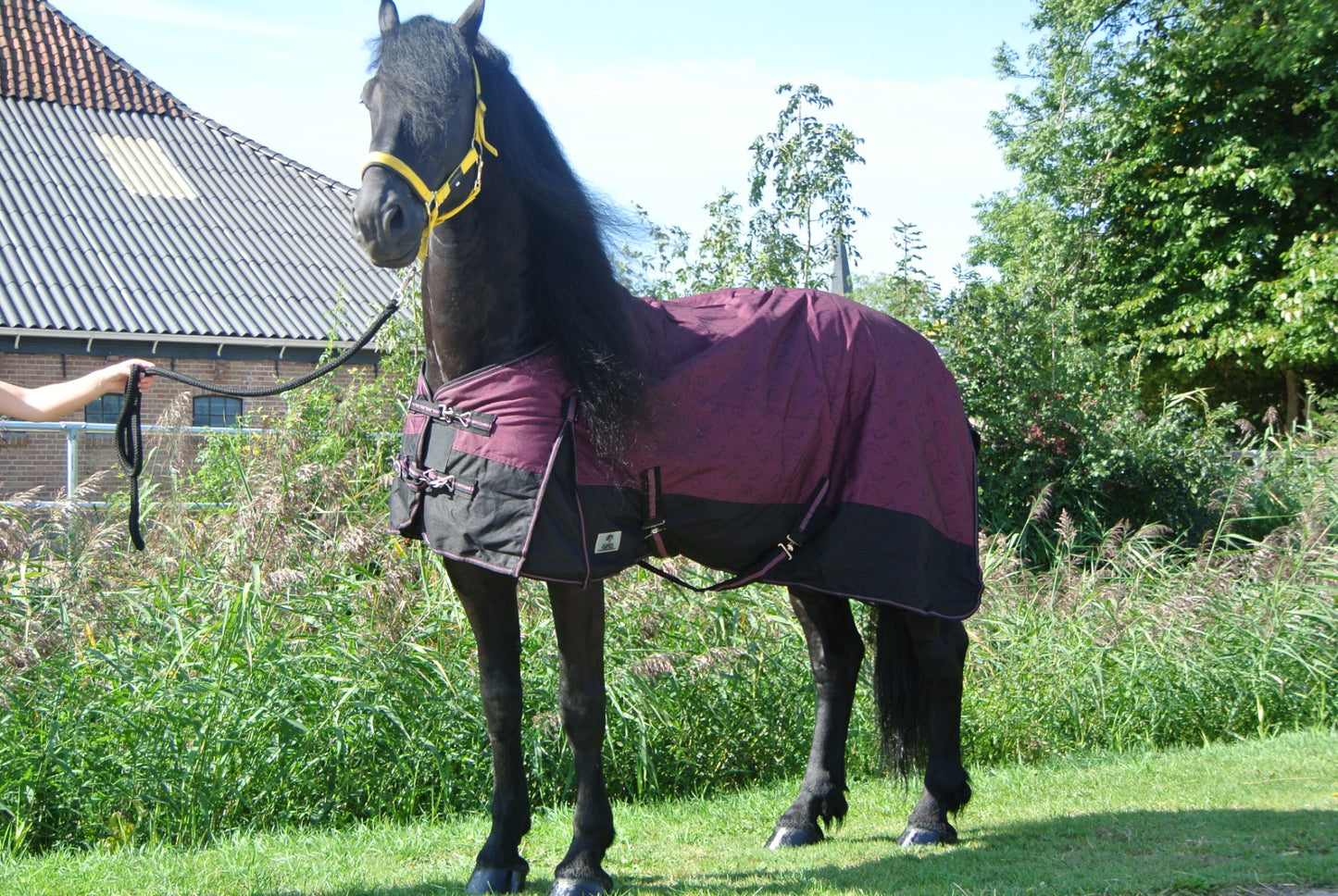 Regendeken de luxe 300 gram Zwart/wine red