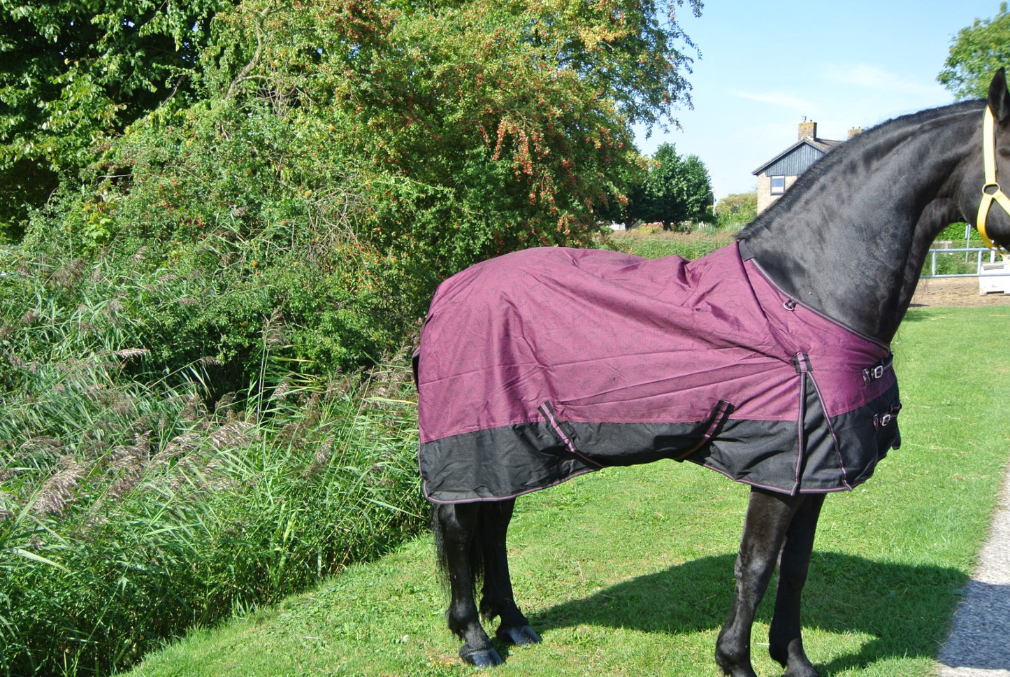 Regendeken 150gram met afneembare hals zwart/red wine