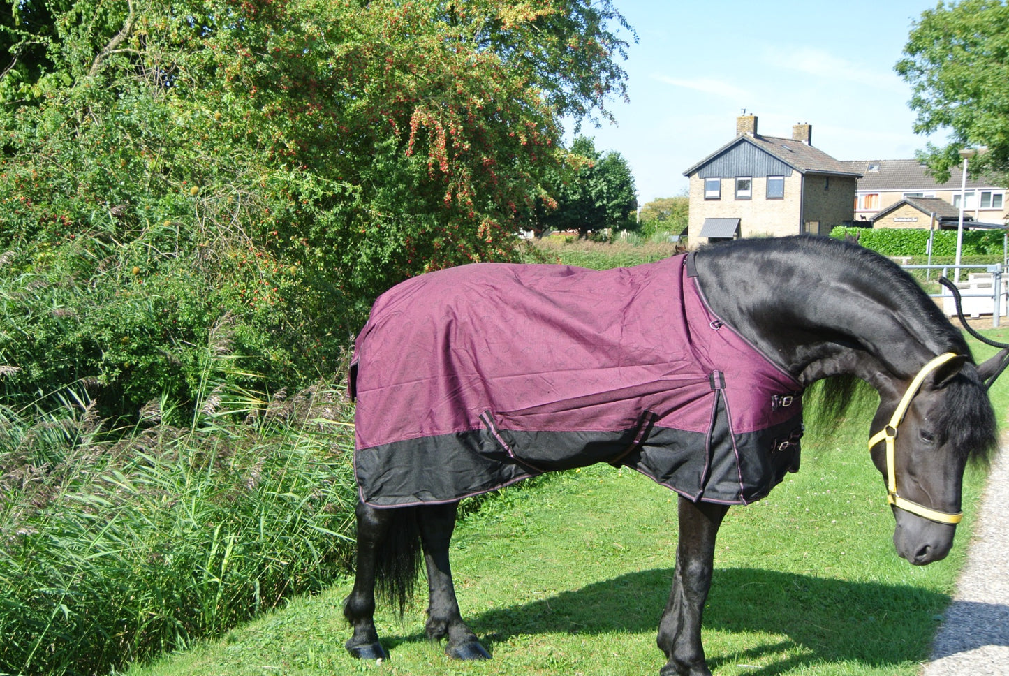 Regendeken luxe 0 gram met fleece voering Zwart/wine red