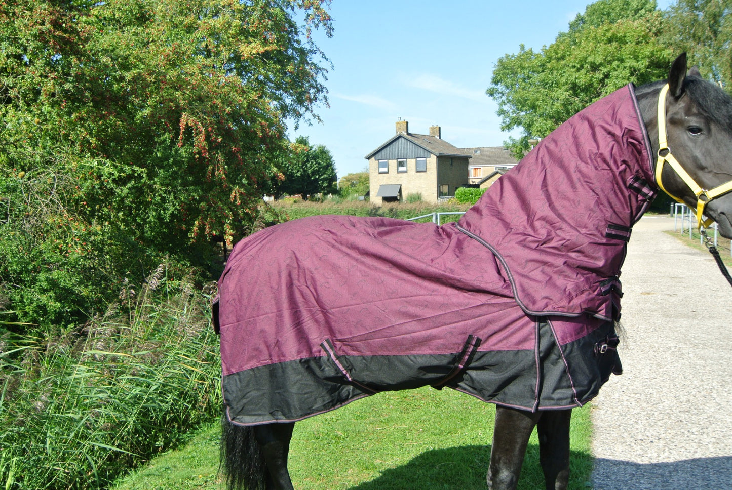 Regendeken 150gram met afneembare hals zwart/red wine