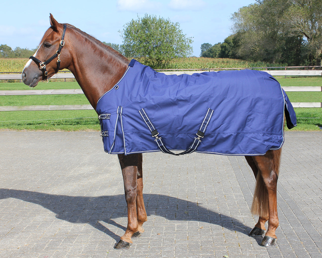 Regendeken luxe 200 gram Navie paardendeken