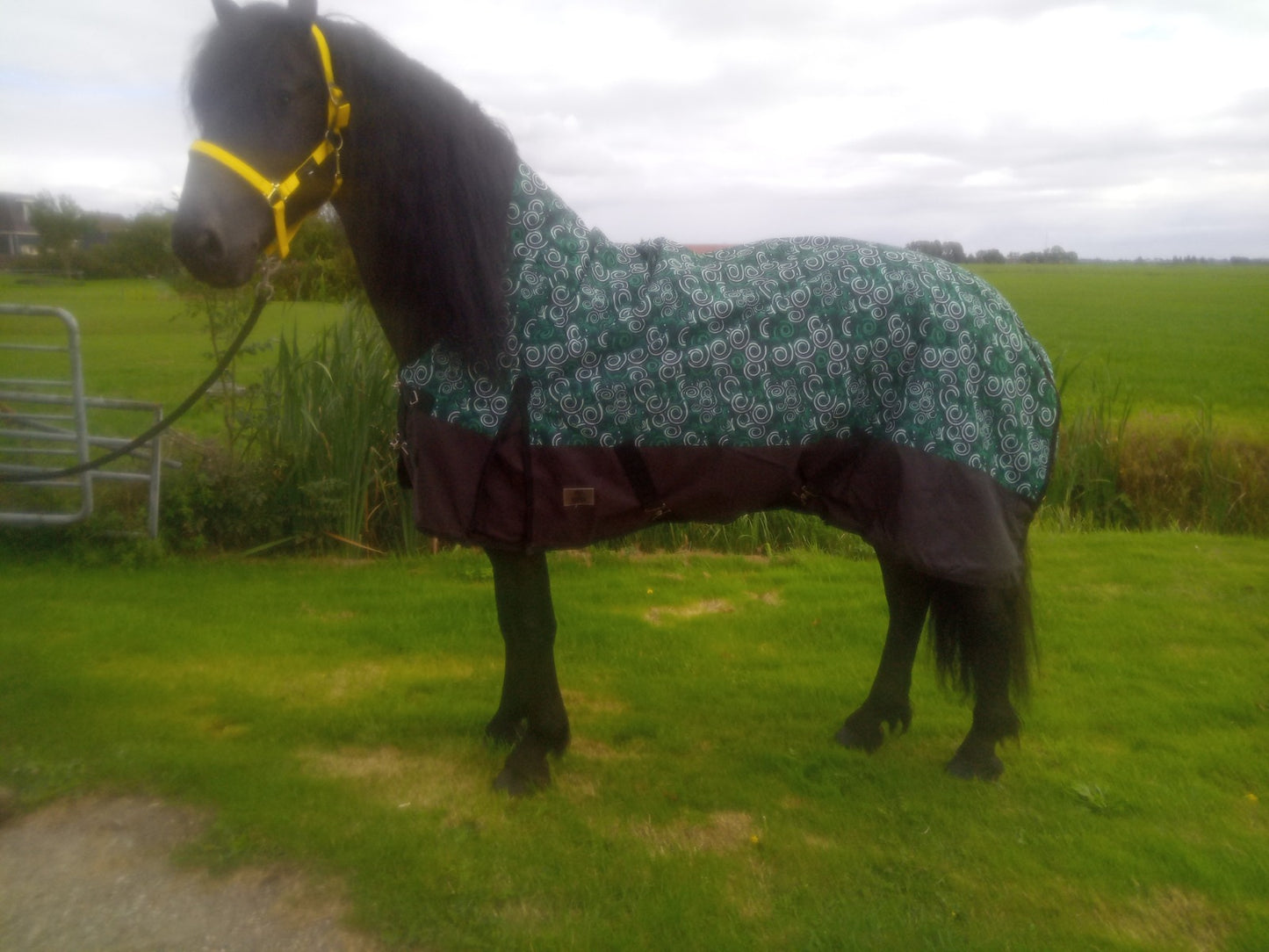 Regendeken luxe 300gram met halve hals Green/swirl buitendeken