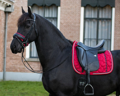 Noasriembeskermer Q Friesian