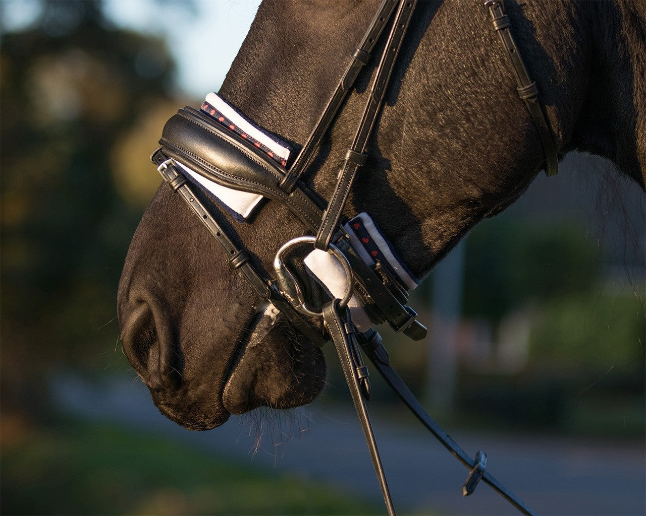 Neusriem kin onderlegger Q Friesian