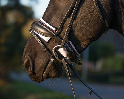 Neusriem kin onderlegger Q Friesian