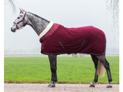 timmerman Defilé omzeilen Zweetdeken, fleecedeken of wollen deken voor uw paard |  Goedkopepaardendekens.nl