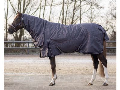 Lezen Inconsistent auteur Winterdeken paard kopen? Goedkope paardendekens | Goedkopepaardendekens.nl
