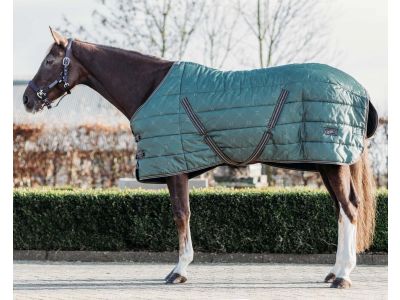 Recreatie Betrokken Tijdig Winterdeken paard kopen? Goedkope paardendekens | Goedkopepaardendekens.nl