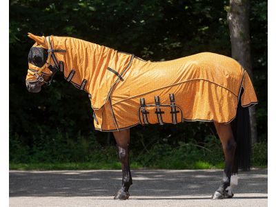 Maand motto Klassiek Vliegendeken voor uw paard kopen? | Goedkopepaardendekens.nl