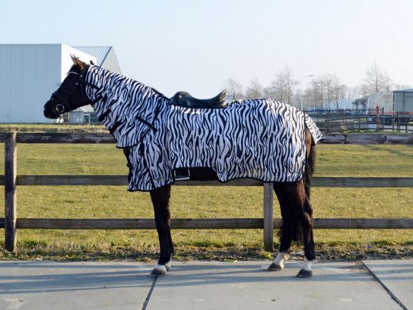 Niet doen Mew Mew Salie QHP Vliegenrijdeken Zebra | Goedkopepaardendekens.nl